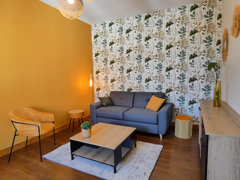 Grand Apt 7 persons center Confolens