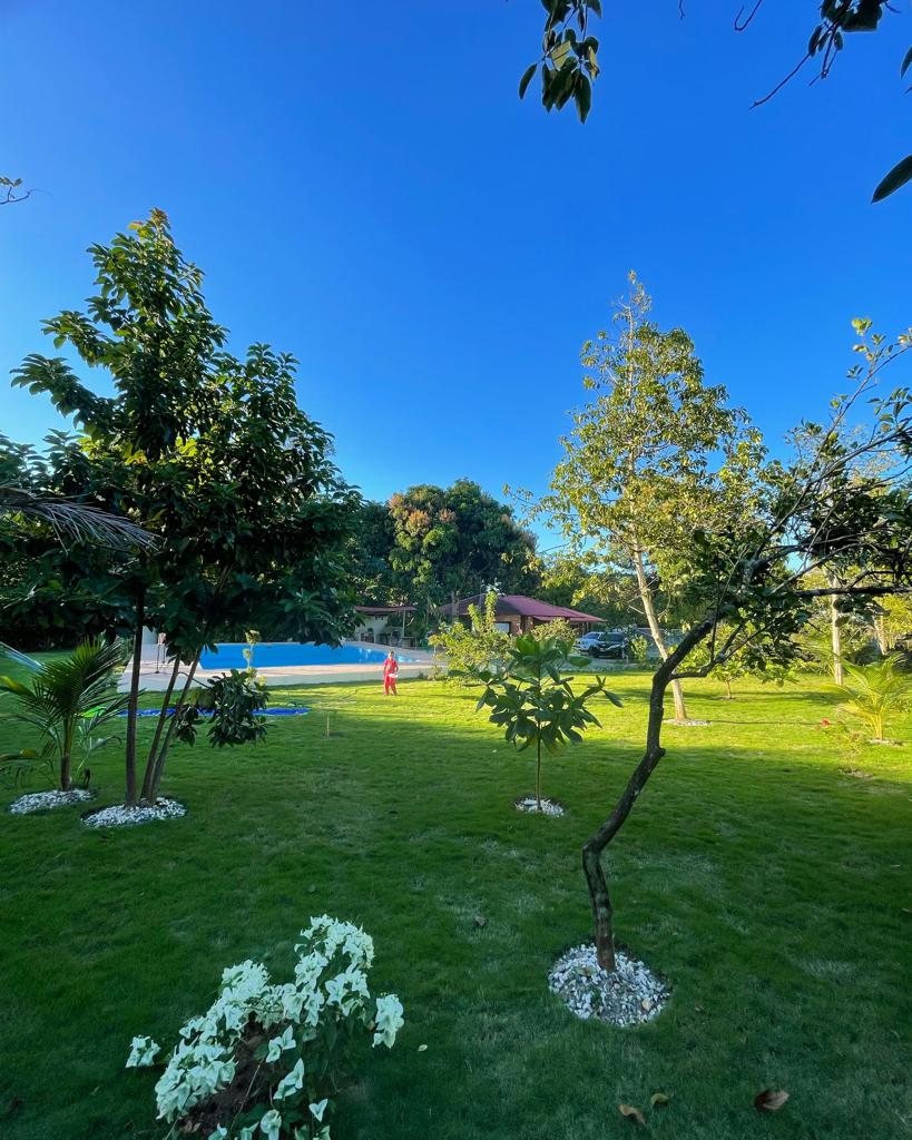 Lush green lawn is surrounded by various trees and plants, providing a natural setting. A clear blue sky is visible above, and a swimming pool can be seen in the background, inviting relaxation and outdoor enjoyment.