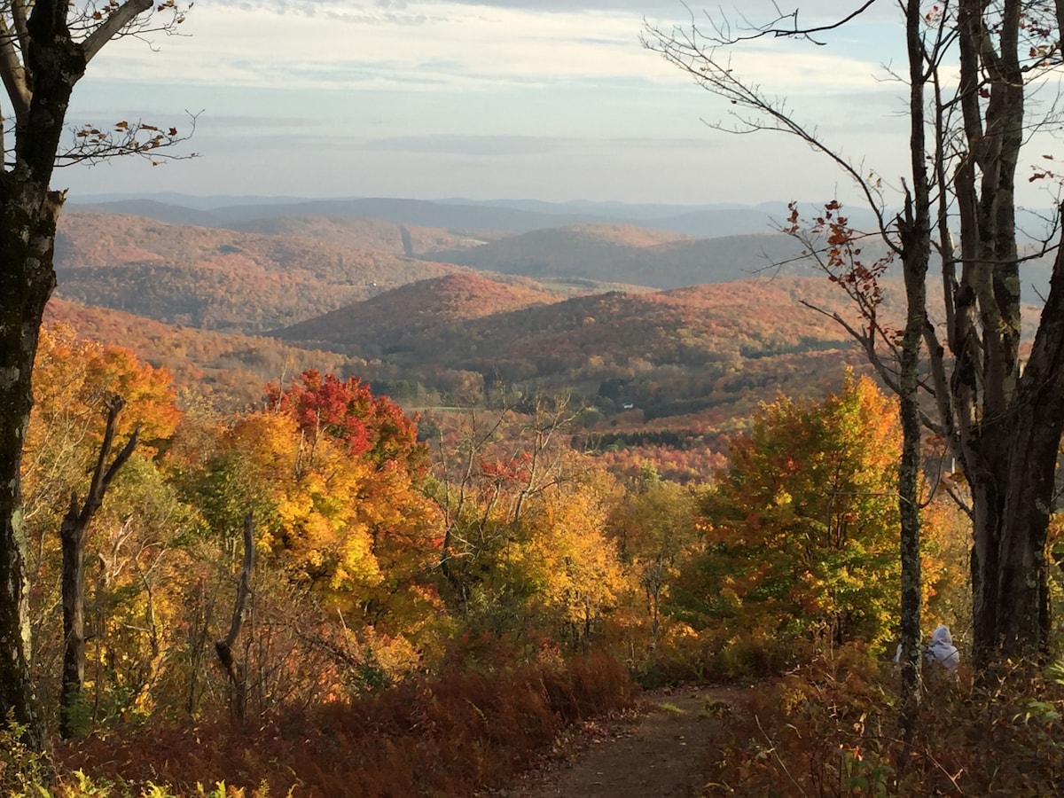A panoramic view of rolling hills is showcased, adorned with vibrant autumn foliage. The landscape features a blend of yellow, orange, and red leaves against a backdrop of soft, undulating mountains. The sky is filled with wispy clouds, hinting at the day's gentle light.