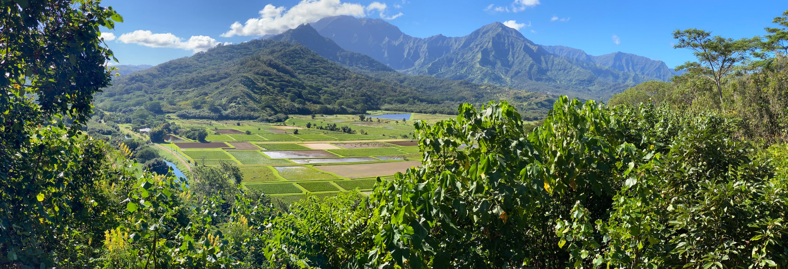 Beautiful Plantation at Princeville - Photo 10