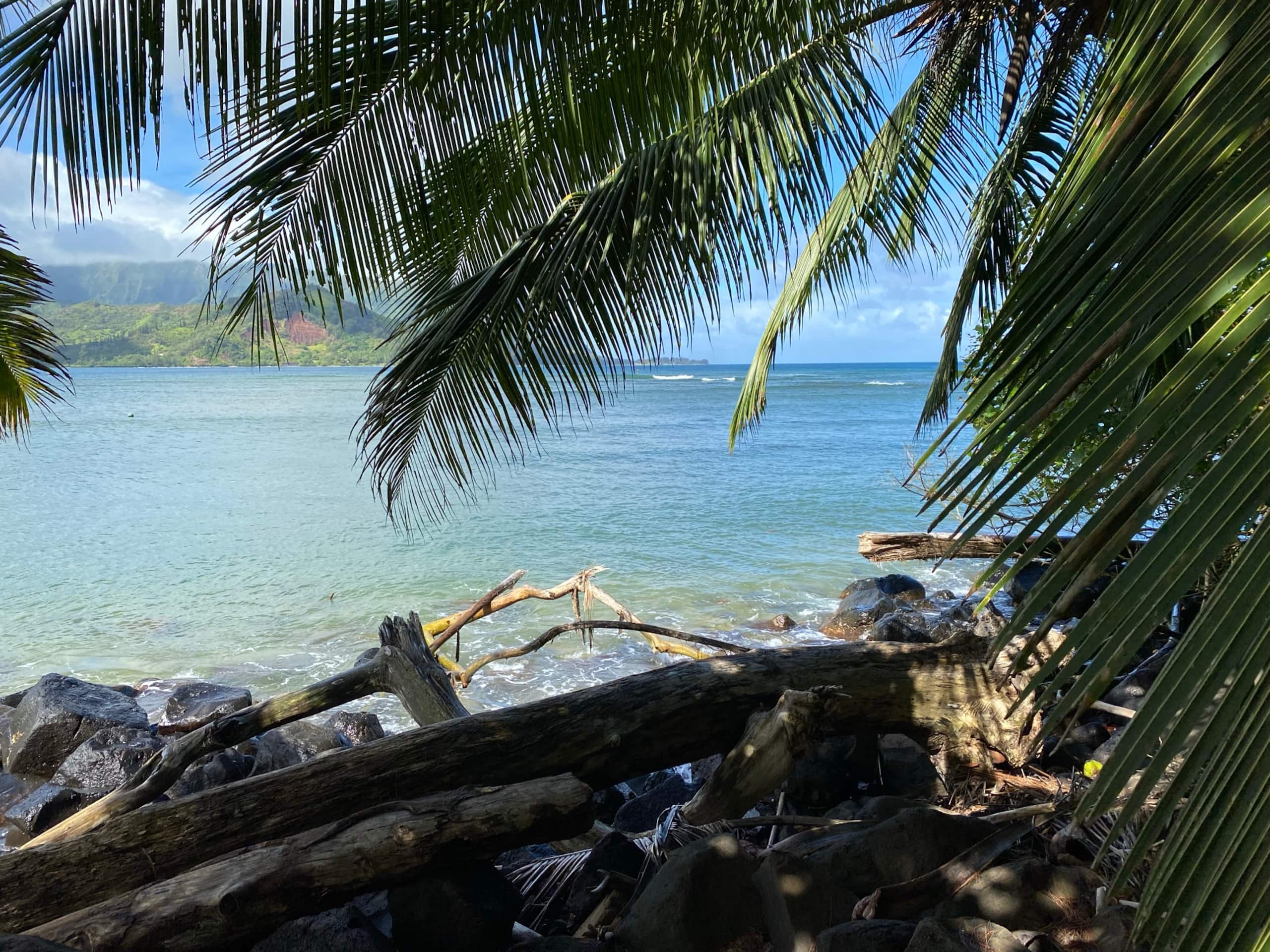 Beautiful Plantation at Princeville - Photo 1