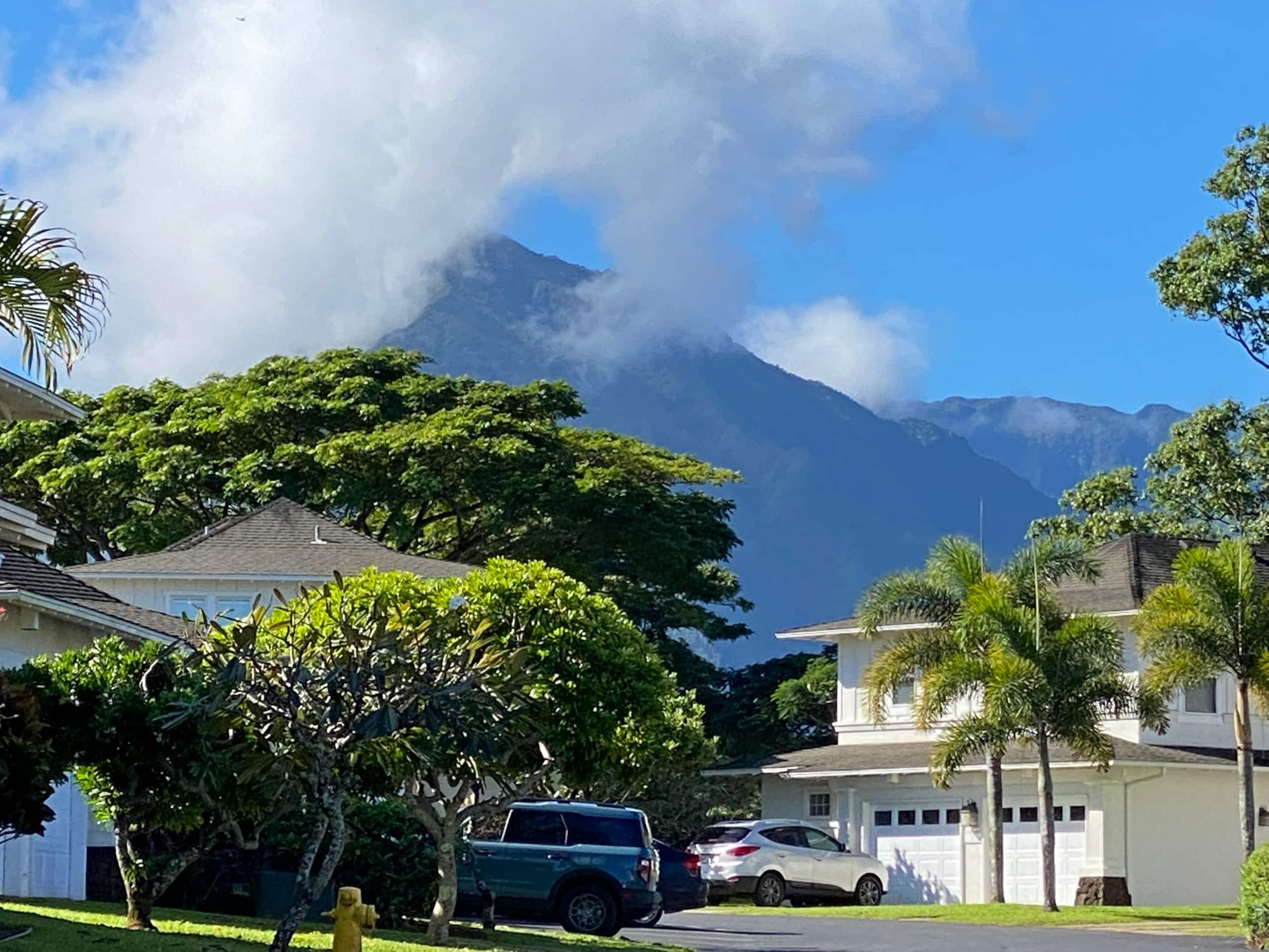 Beautiful Plantation at Princeville - Photo 3
