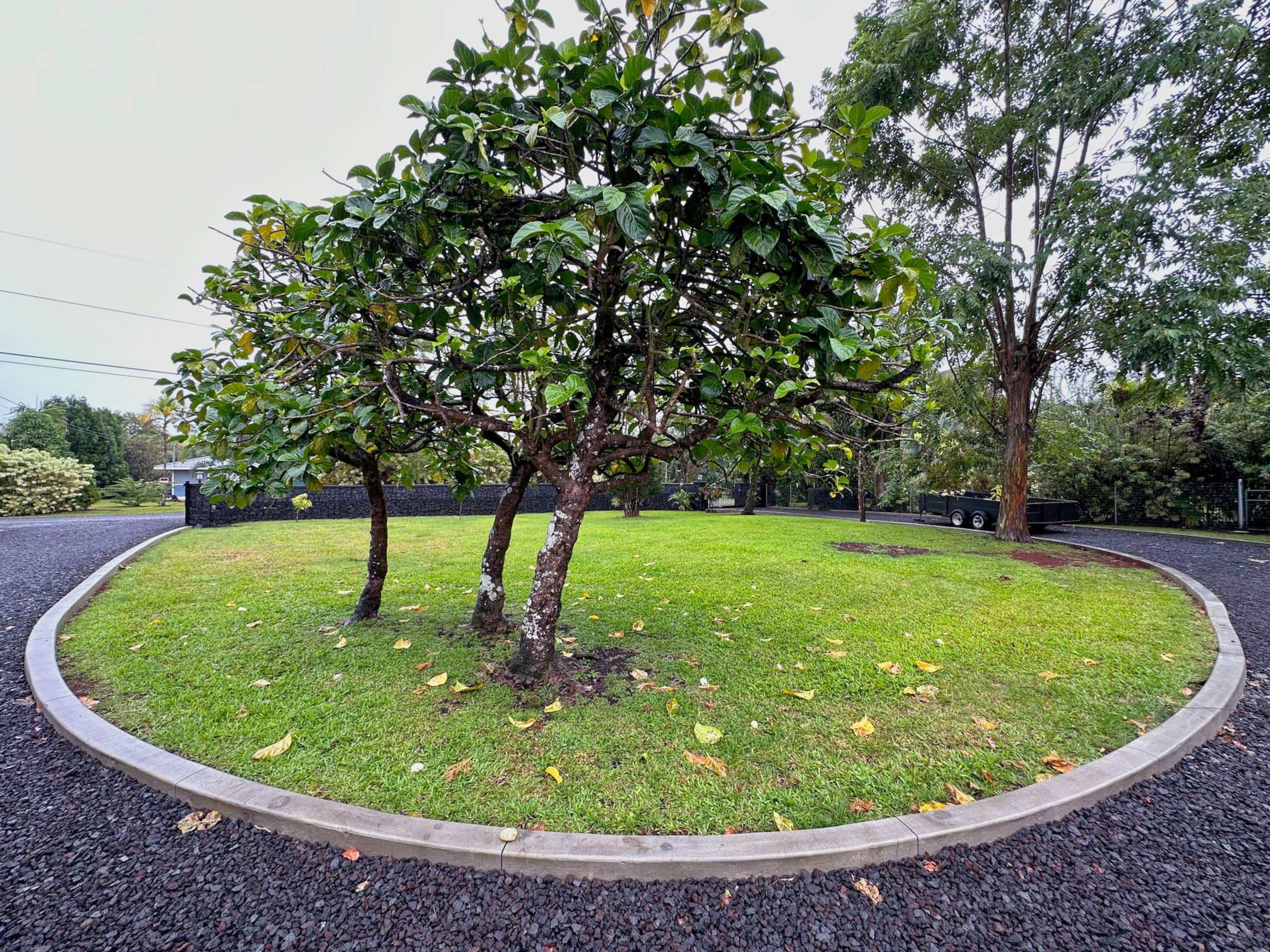 Home in Keaau · ★4.94 · 3 bedrooms · 5 beds · 2 private baths - Image 4