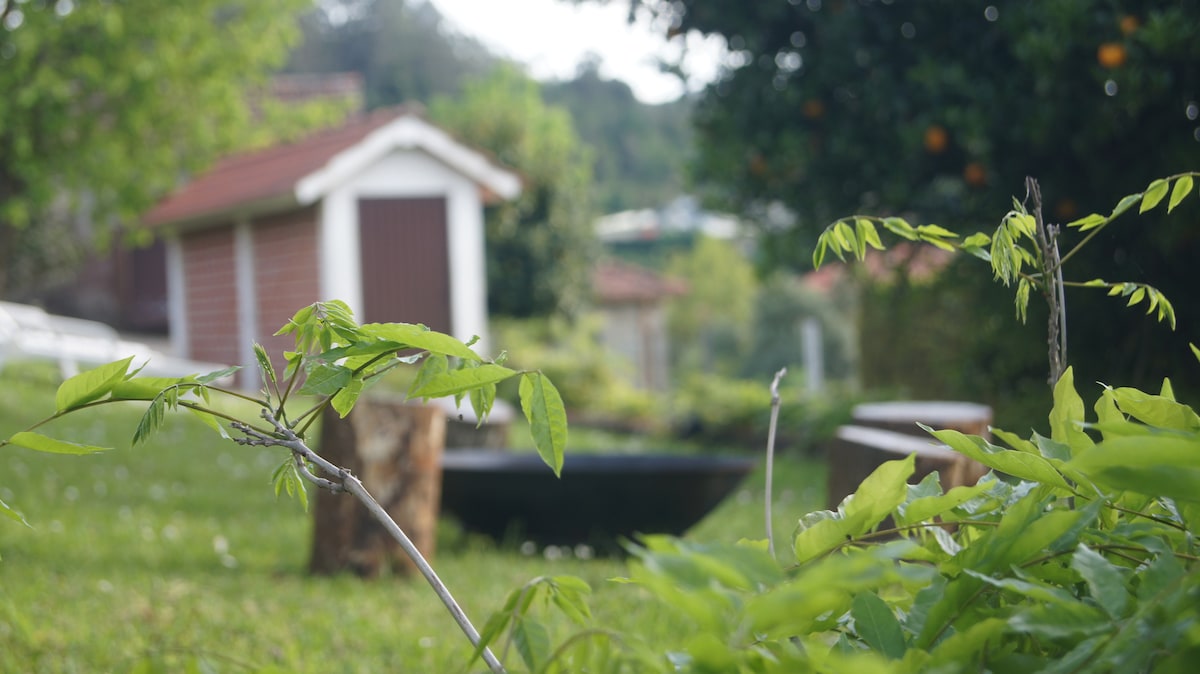 A lush green garden is presented, featuring fresh foliage in the foreground. In the background, a small wooden shed is visible, surrounded by trees. A rustic seating area is positioned nearby, inviting a serene outdoor experience.