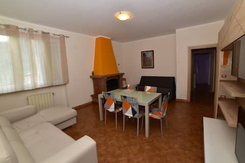 Top performing Airbnb: Il Pastore Tedesco Vacation Home in Portoferraio