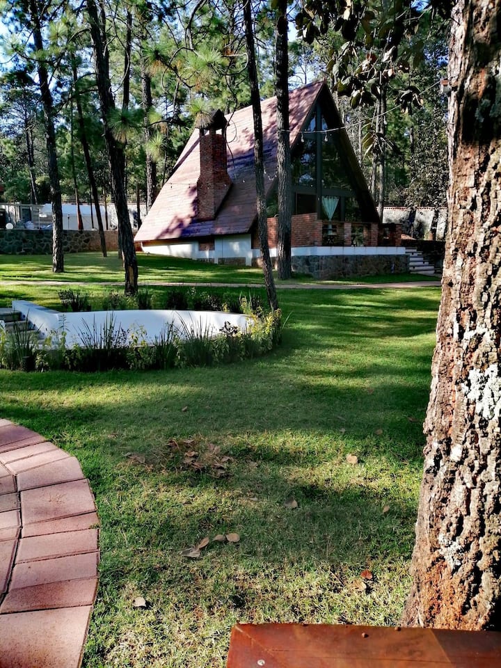 Forest retreat 1