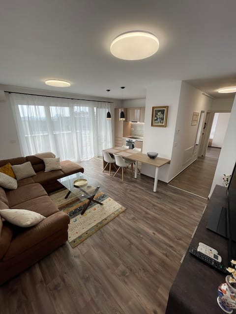 Successful Airbnb property: Panoramic View Timisoara in Timișoara