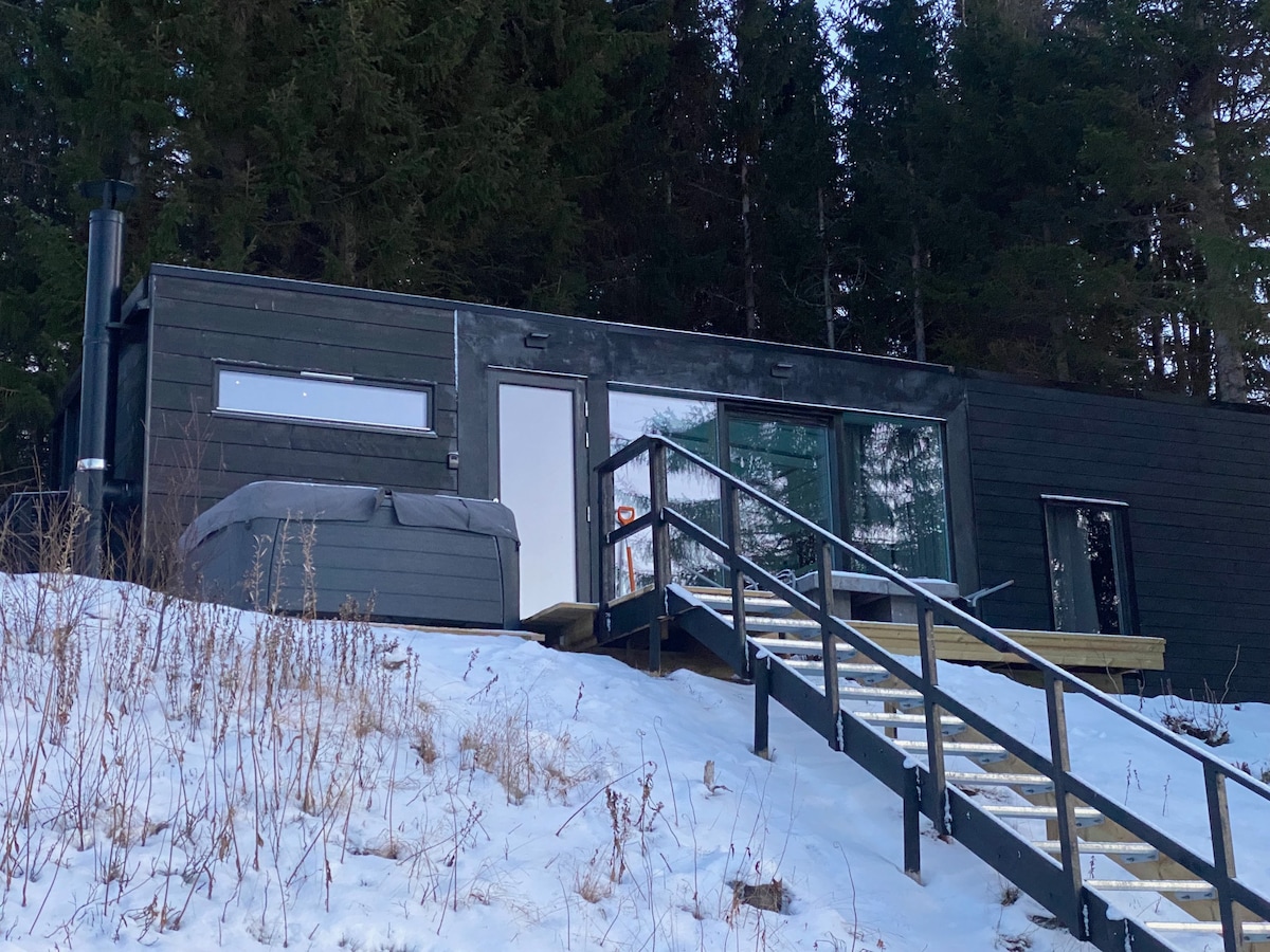 A modern cabin is set against a backdrop of tall trees, featuring a large deck with steps leading up to the entrance. A hot tub is positioned on the patio, surrounded by snow-covered ground.
