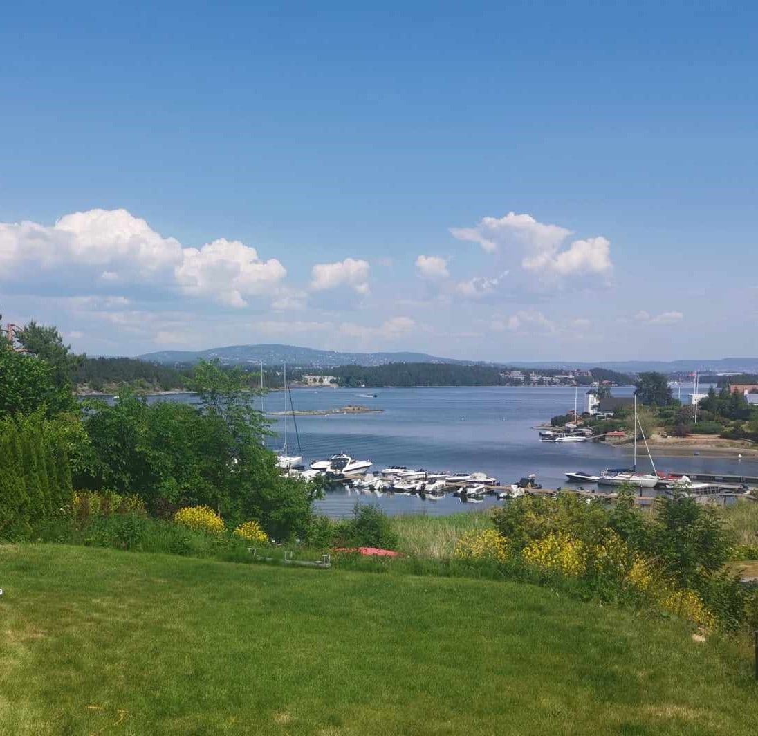 A tranquil view overlooking a waterfront area, showcasing boats docked along the shore. Lush greenery and blooming flowers frame the grassy area in the foreground, while gentle clouds drift across a bright blue sky dotted with distant hills.