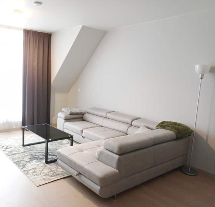 Quartier Européen•appart.2 Chambres•très Demandé - Ixelles