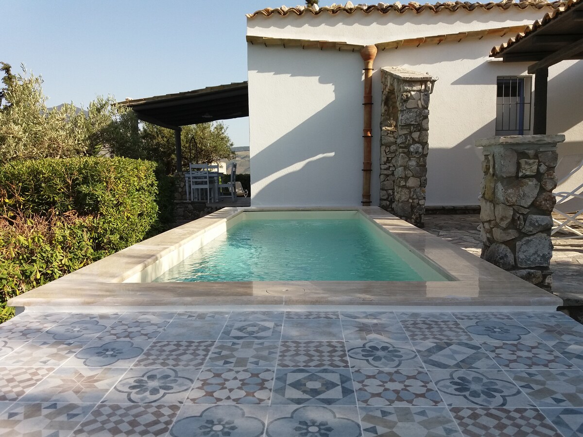 A private pool is framed by a stone terrace, featuring patterned tiles. The clear water reflects the sunlight, creating a relaxing ambiance. Surrounding greenery adds privacy, while a covered seating area can be seen in the background, enhancing outdoor enjoyment.