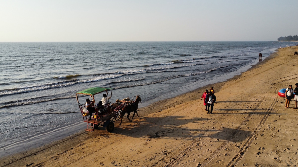 not like kihim beach - Reviews, Photos - Nagaon Beach - Tripadvisor