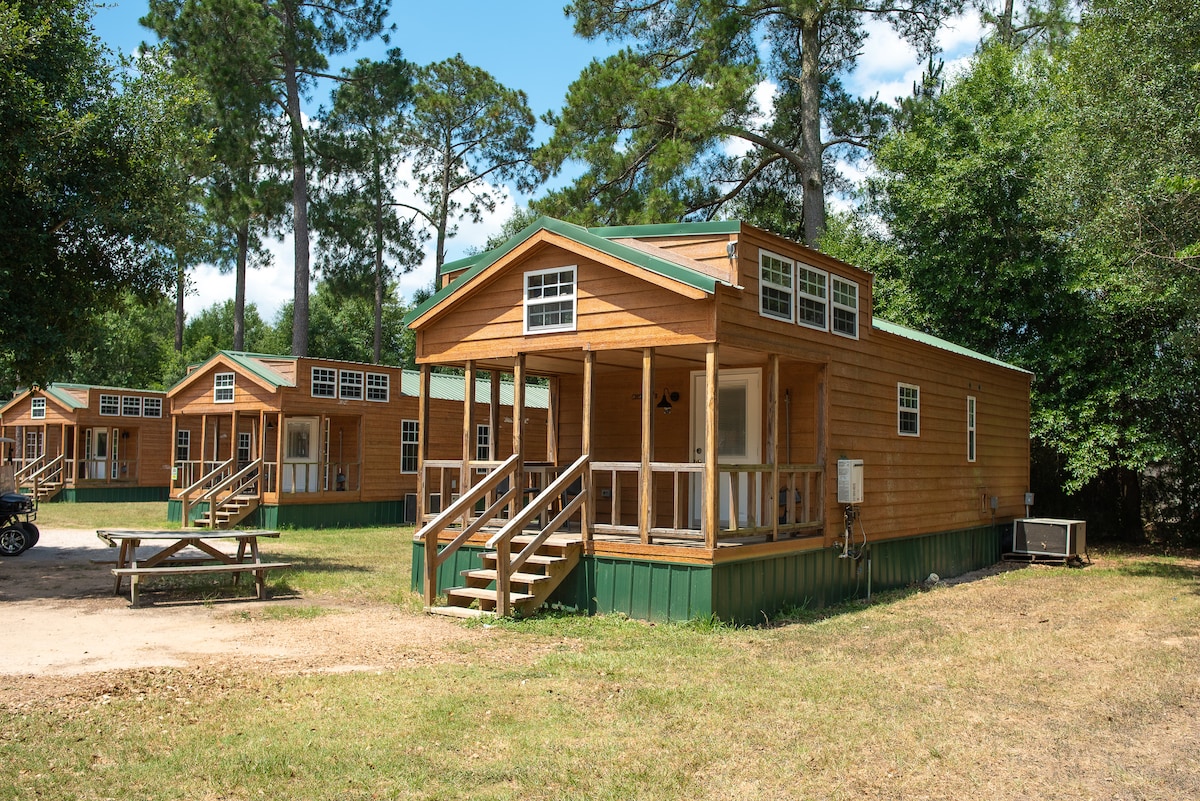 A group of wooden cabins is showcased under a clear blue sky, surrounded by tall trees. Each cabin features a welcoming porch with steps leading up, large windows allowing natural light, and is set in a grassy area with a picnic table nearby.