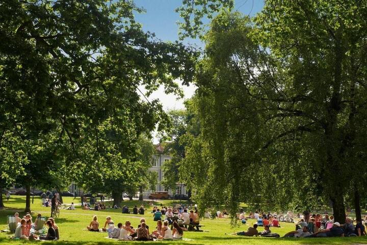 Vakker og sentral leilighet på Grünerløkka gallery image 5