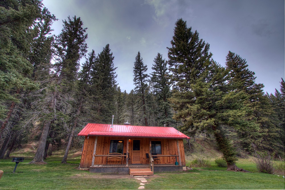 A rustic cabin with a red metal roof is nestled among tall evergreen trees. A stone pathway leads to the porch, furnished with a wooden bench. Lush grass surrounds the cabin, contributing to its tranquil natural setting.