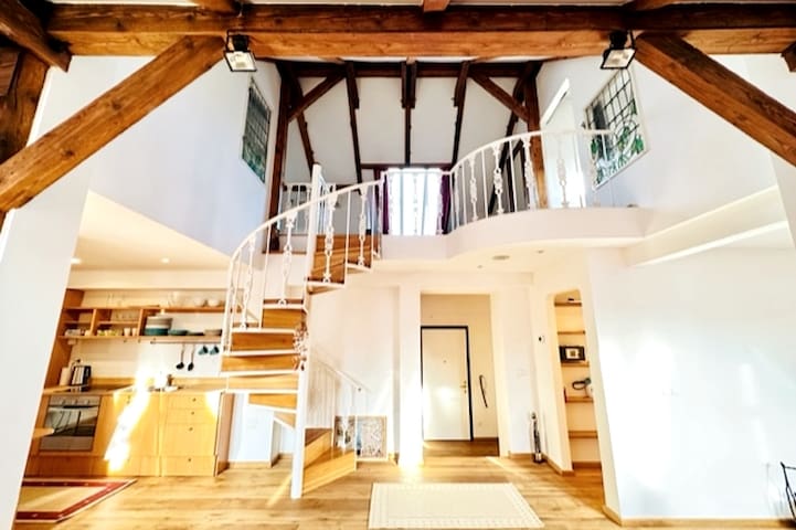 Bohemian Attic Duplex in The Old Town