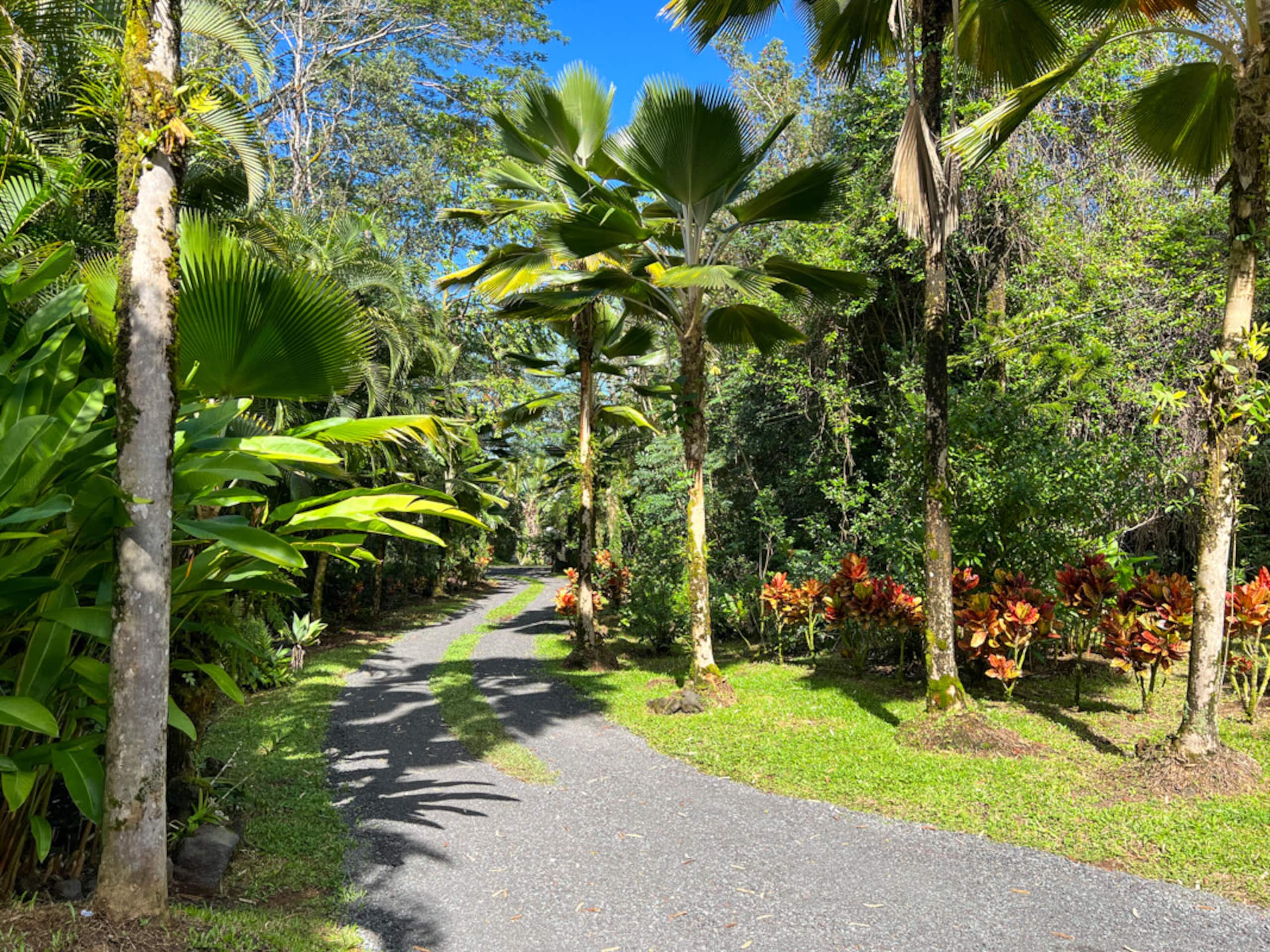 Home in Keaau · ★4.8 · 3 bedrooms · 6 beds · 2 private baths - Image 24
