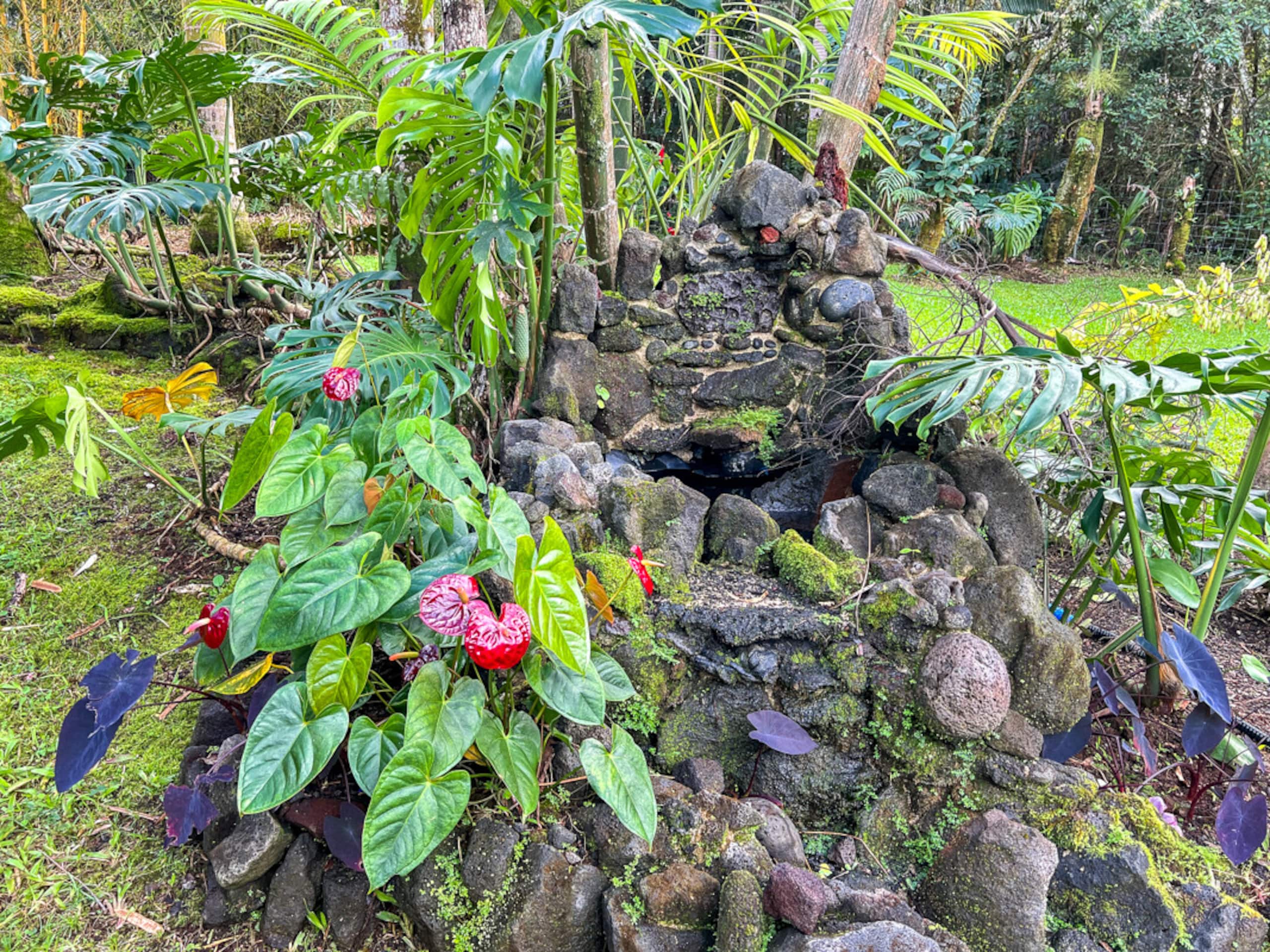 Home in Keaau · ★4.8 · 3 bedrooms · 6 beds · 2 private baths - Image 19