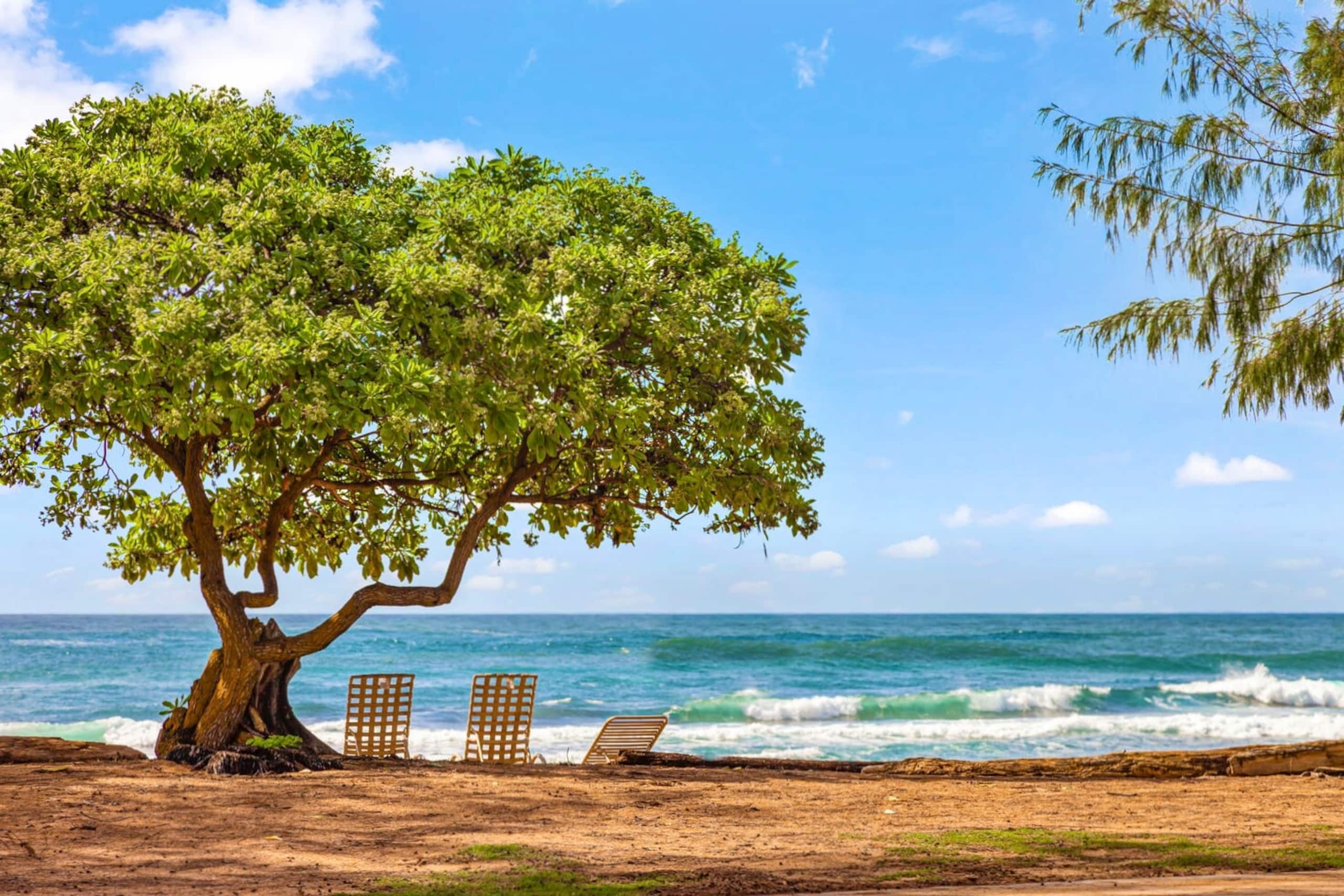 Resort in Kapaa · ★4.91 · Studio · 1 bed · 1 private bath - Image 25