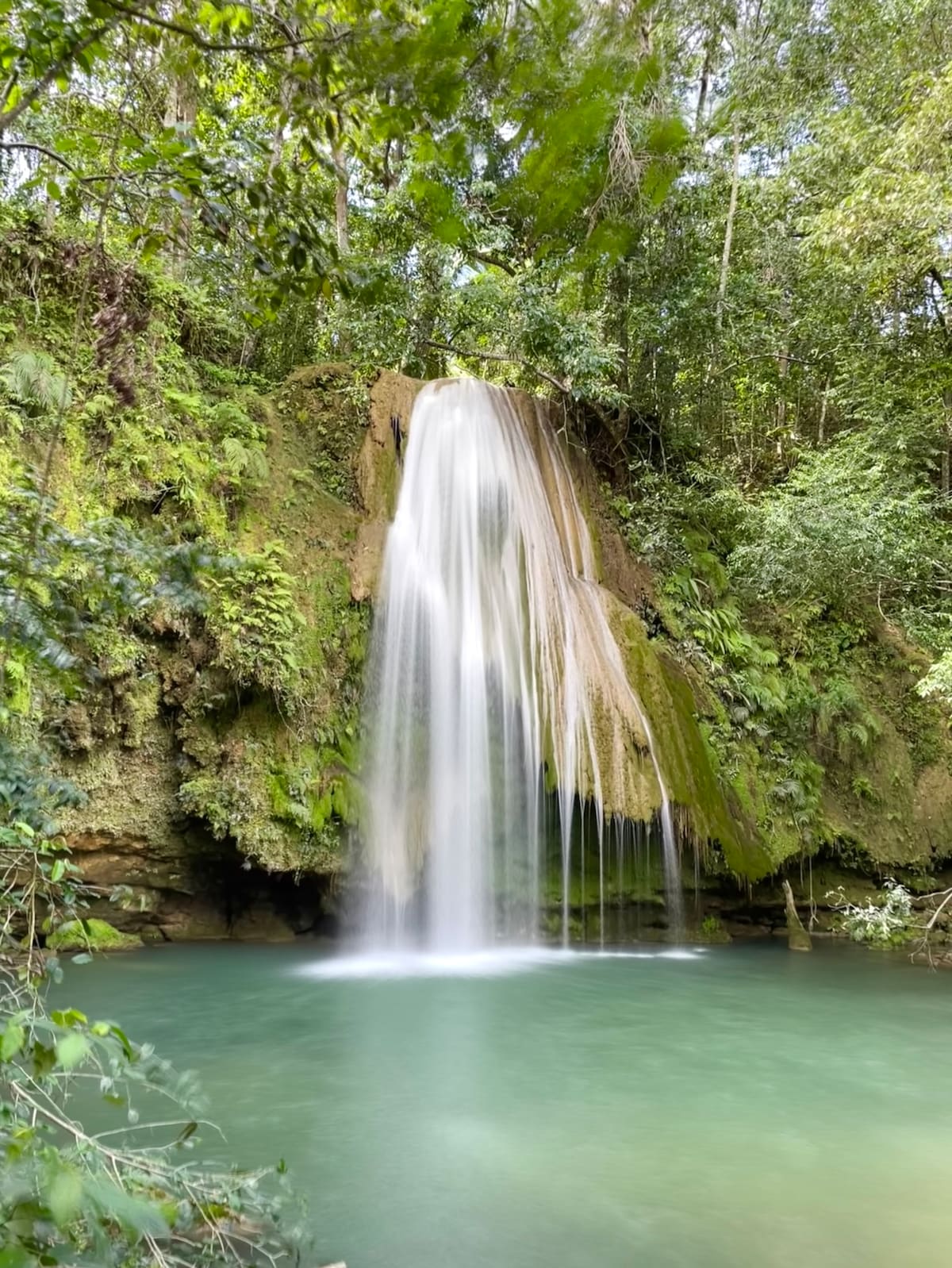 A cascading waterfall is situated amidst lush greenery, with water flowing gracefully into a clear turquoise pool below. Surrounding vegetation enhances the natural setting, creating a serene and tranquil atmosphere. Sunlight filters through the leaves, illuminating the water and highlighting the vibrant hues of the landscape.