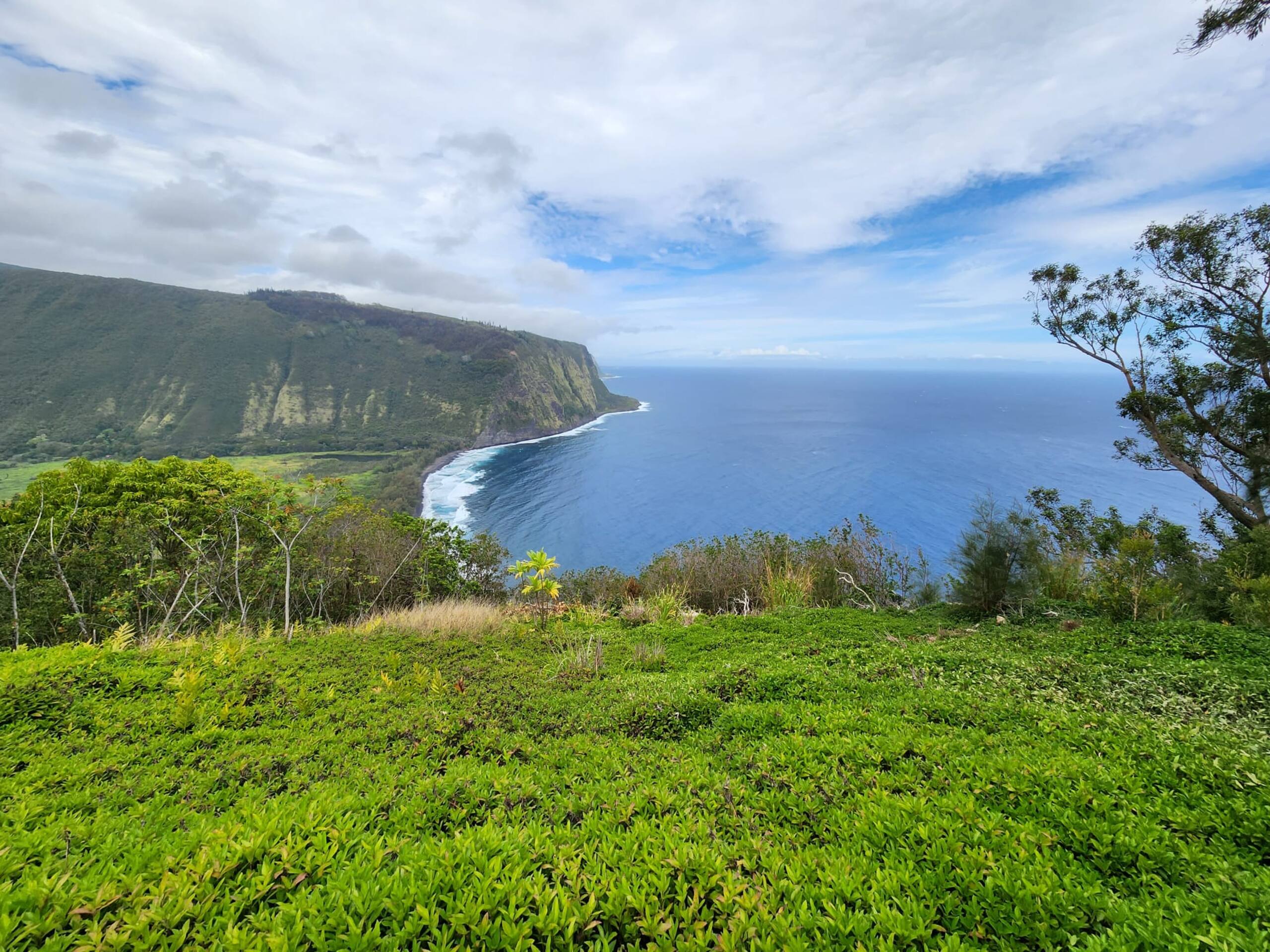 Home in Kailua-Kona · ★4.92 · 3 bedrooms · 5 beds · 2 baths - Image 38