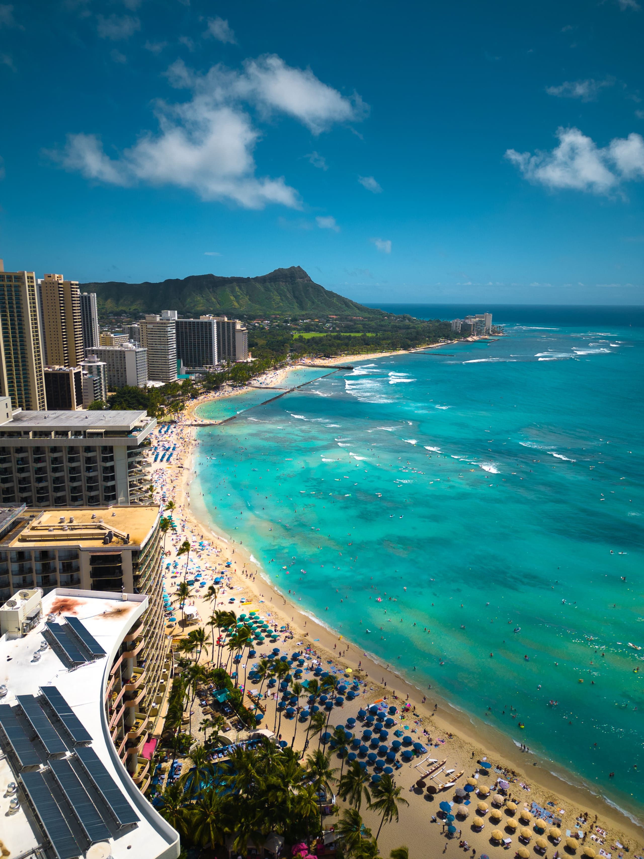 Condo in Honolulu · ★4.98 · 1 bedroom · 2 beds · 1 private bath - Image 48
