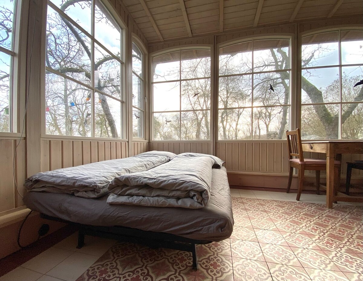 Легло в зимна градина