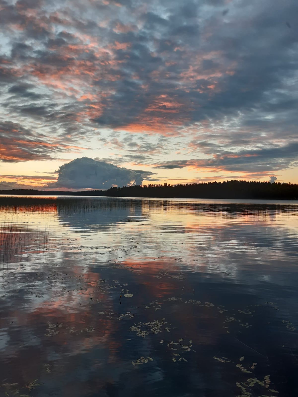 A serene lake is captured at sunset, featuring calm waters that reflect the vibrant colors of the sky. Soft hues of orange, pink, and blue blend with the clouds, while a distant forest outlines the horizon.