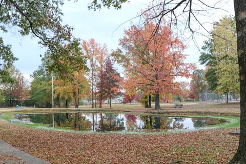 Quiet, 4-bed home with park view.