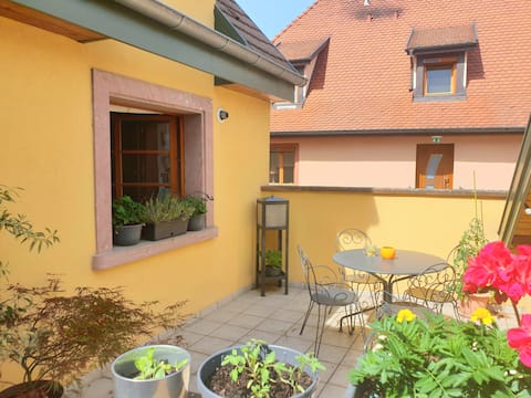Duplex entre Colmar et Mulhouse(1-4 pers) parking