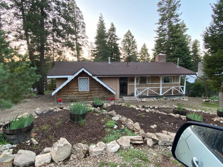Huggin Bear Lodge Houses for Rent in Cloudcroft, New Mexico, United States Airbnb