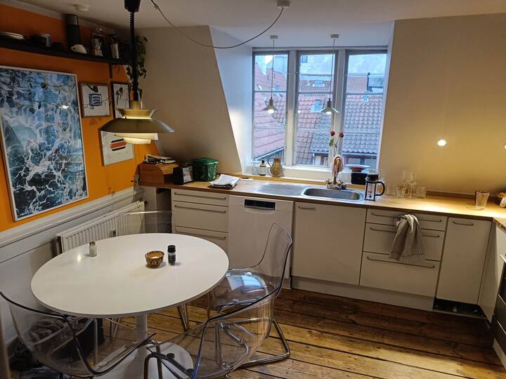 Charming penthouse in the middle of Copenhagen Apartments for Rent in