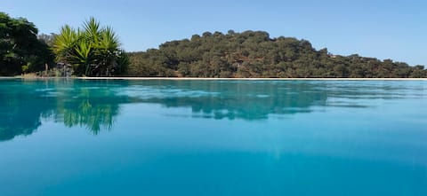 Castro da Cola Country Houses - Casa da Hera