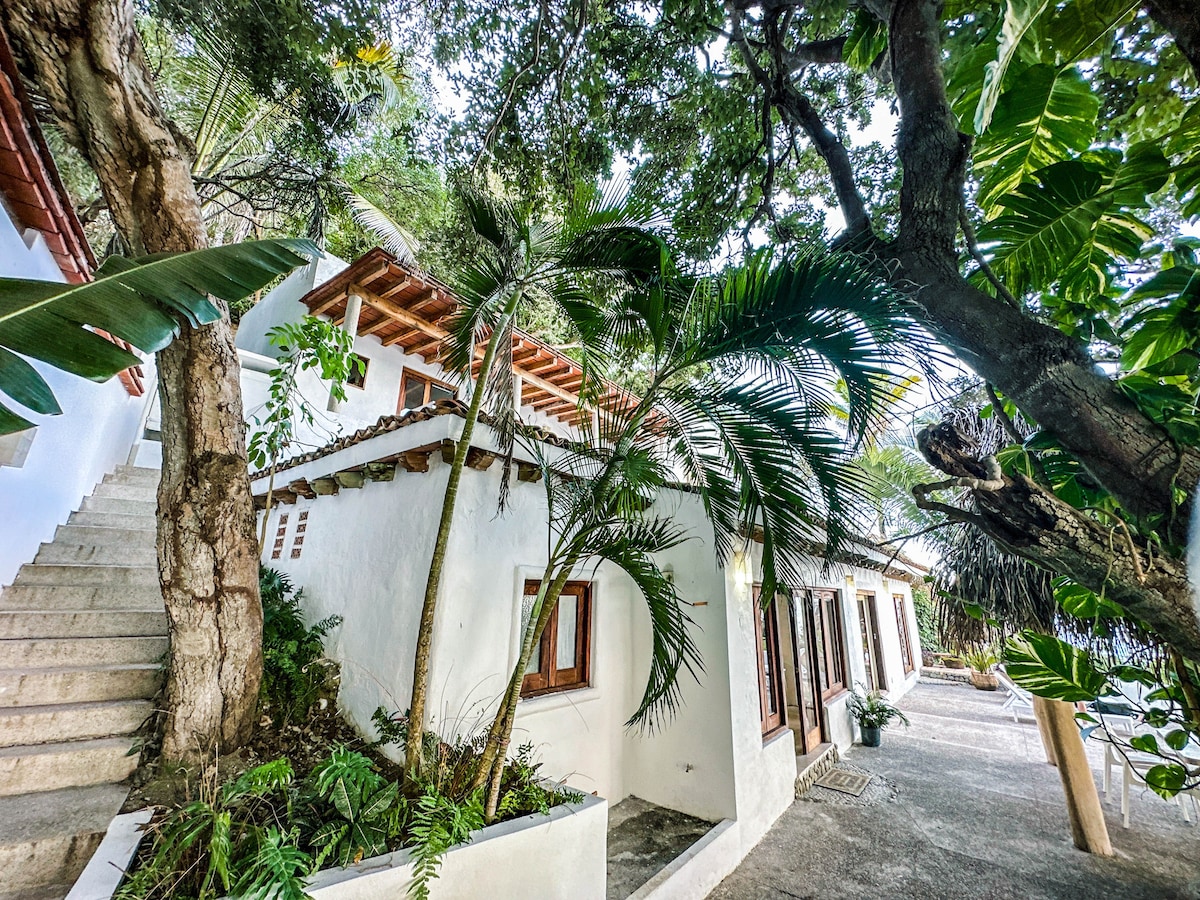 A serene exterior view of the accommodation is presented, featuring white walls and wooden windows surrounded by lush greenery. A stone staircase leads to the upper level, while tropical plants and trees create a tranquil setting, inviting guests to explore the beautiful surroundings.