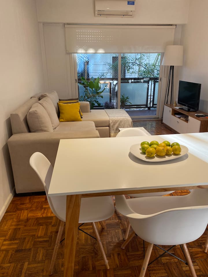 Bright one-bedroom apartment in Almagro