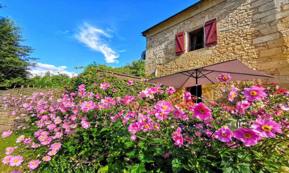 Successful Airbnb property: La Fermette, Les Eyzies-de-Tayac in Les Eyzies