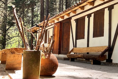 La Granja, Forest & Nature Nature