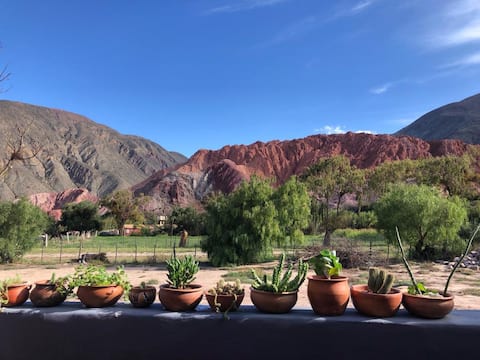 Las Lavandas, Purmamarca