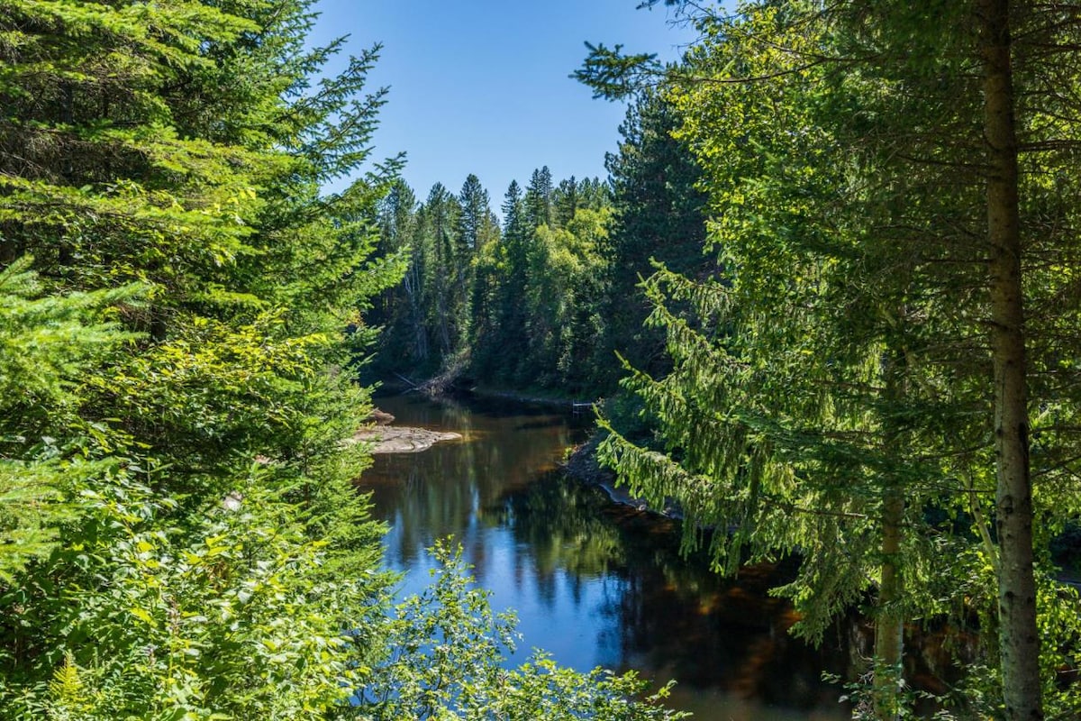 A serene river flows gently through a lush forest, surrounded by vibrant green trees. The still water reflects the clear blue sky, and a sense of tranquility is conveyed by the natural setting. Dappled sunlight filters through the canopy, enhancing the peaceful atmosphere.
