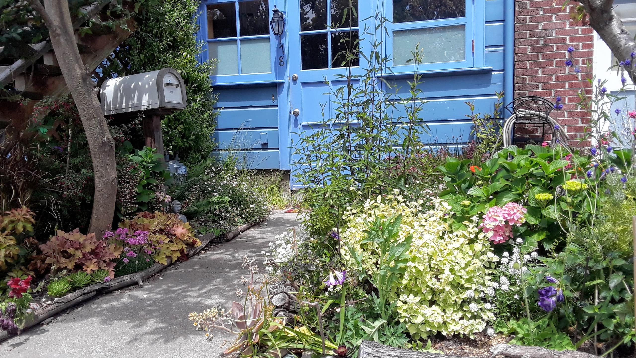 Blue House in the Sunnyside - Image 1