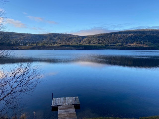 A wooden dock extends into a calm lake, surrounded by lush greenery and distant hills. The water reflects a clear blue sky, creating a serene atmosphere. The scene invites relaxation and offers a tranquil view of nature.