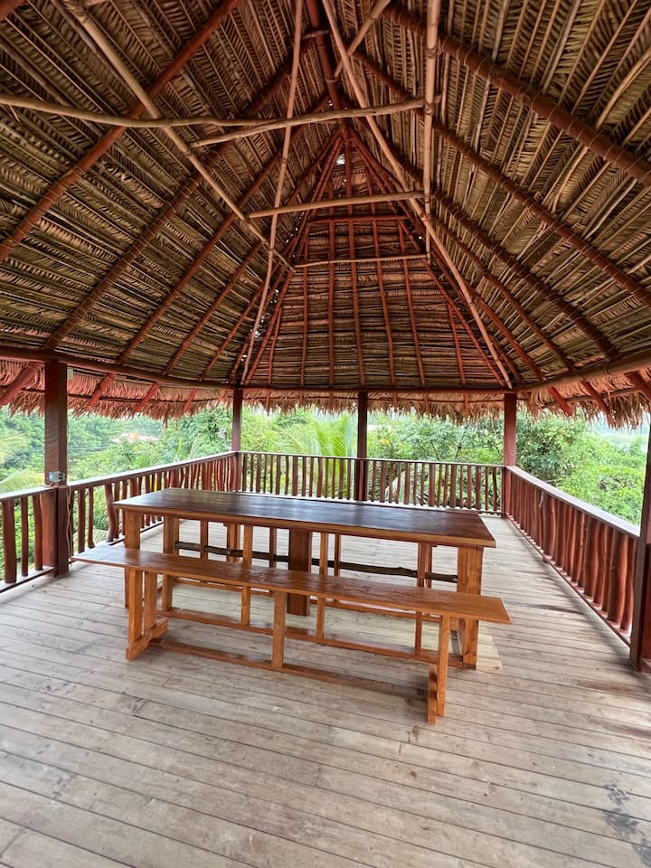 Tio's Treehouse in Hopkins