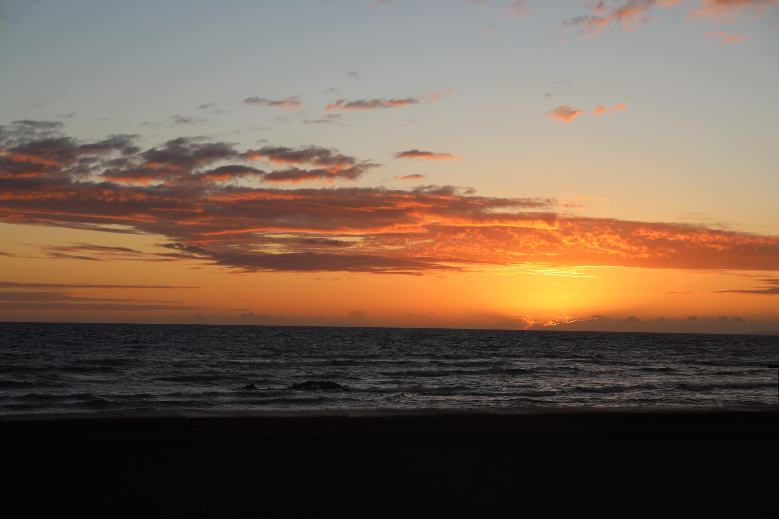 Condo in Kihei · ★4.92 · 1 bedroom · 2 beds · 1 private bath - Image 25