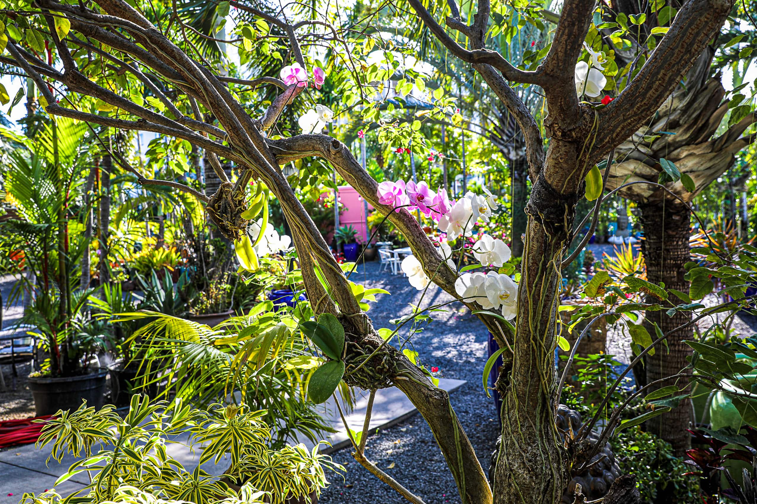 Condo in Kihei · ★4.92 · 1 bedroom · 2 beds · 1 private bath - Image 38