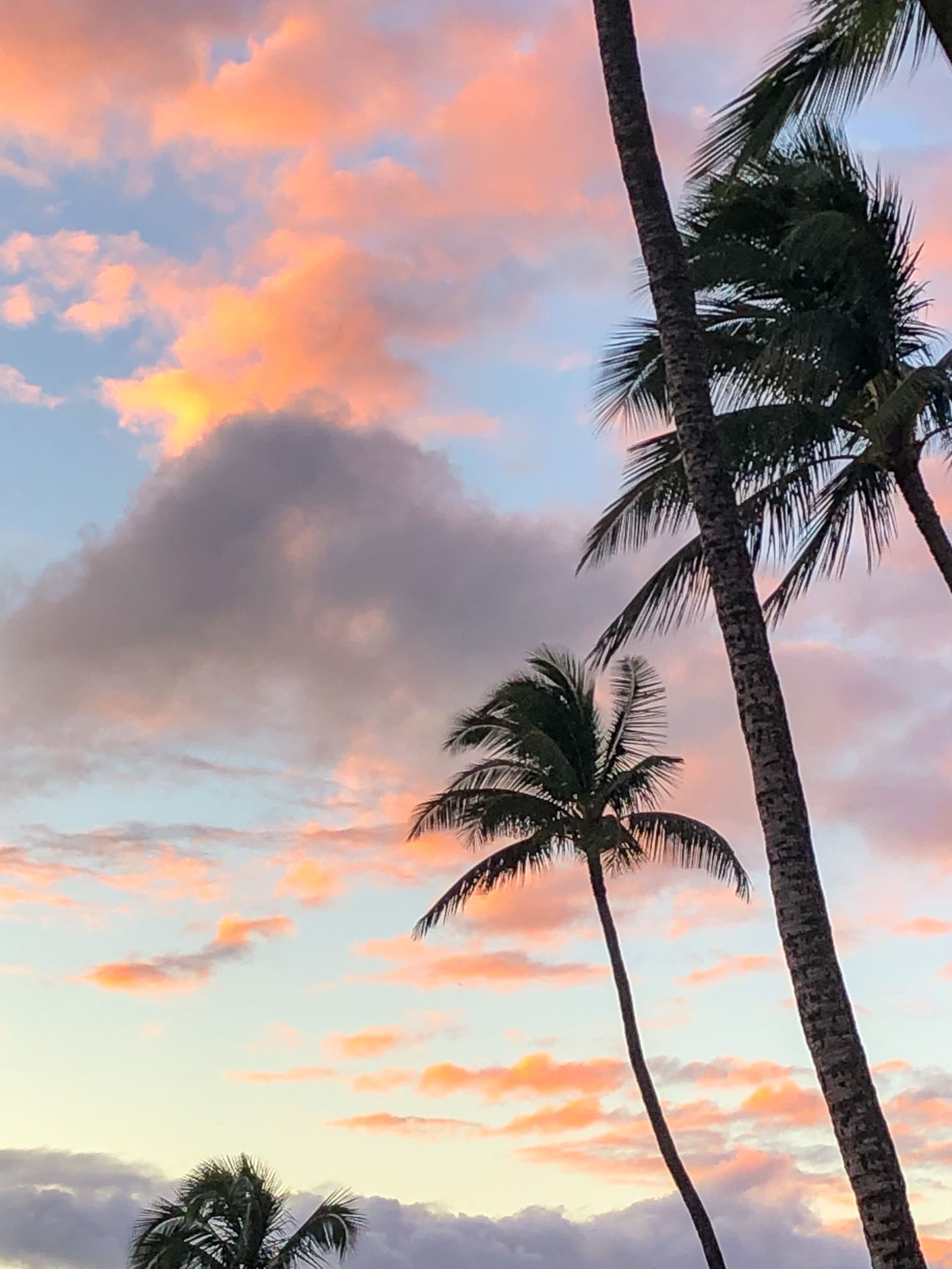 Condo in Kihei · ★4.92 · 1 bedroom · 2 beds · 1 private bath - Image 33