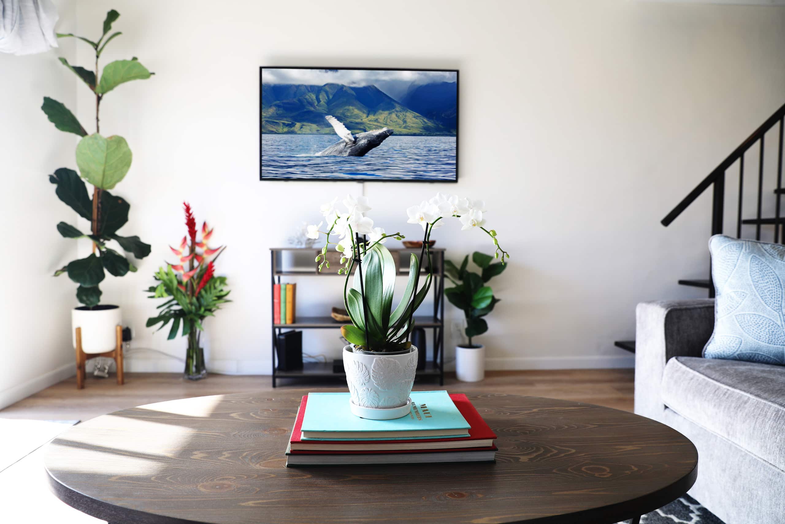 Condo in Kihei · ★4.92 · 1 bedroom · 2 beds · 1 private bath - Image 3