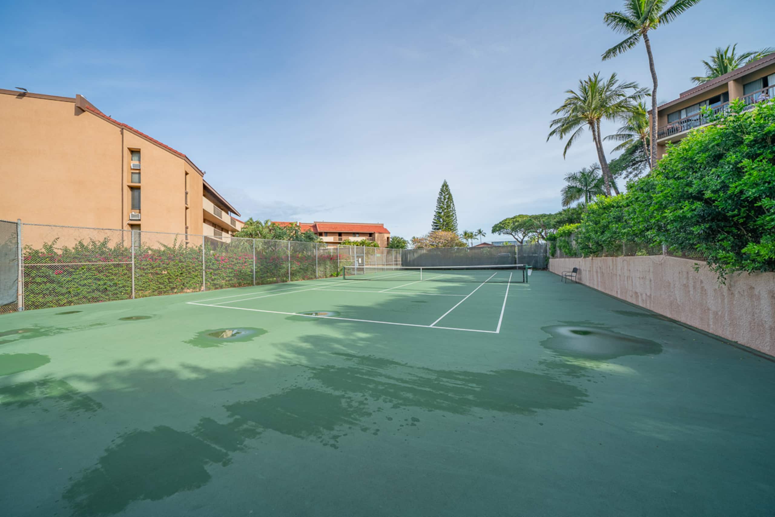 Ocean View 2bd/2bth condo Maui Vista Kihei! - Image 29
