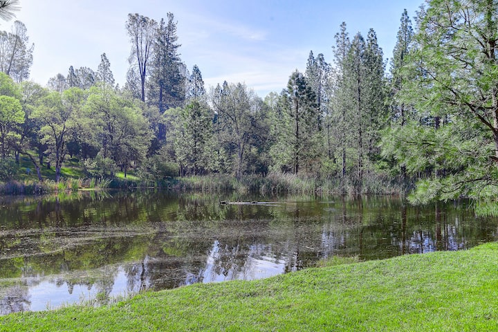 Grass Valley Vacation Rentals Homes California United States Airbnb