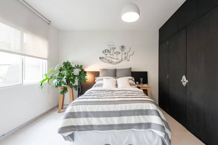 Casa Amores 911. Casa Completa. gallery image 3