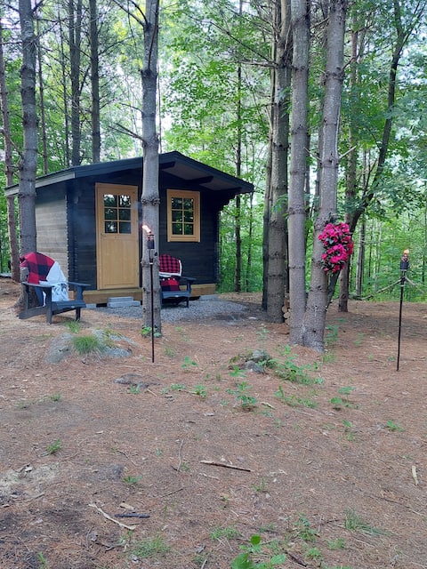 Top performing Airbnb: Bunkie in the Pines in Oro Medonte